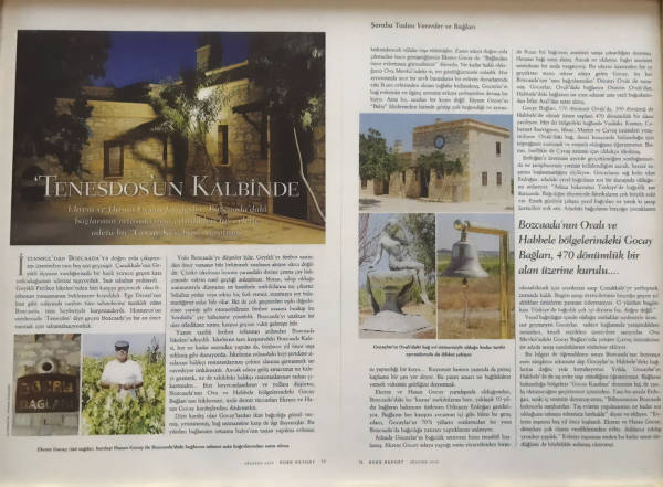 Tenesdosun Kalbinde